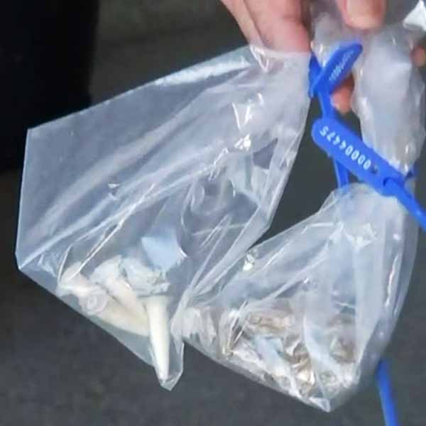 Criança de seis anos presenteia professora com maconha em Bauru