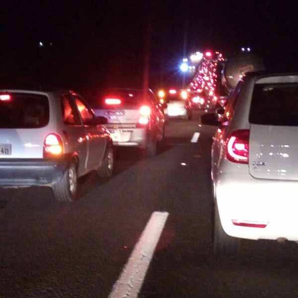 Atropelamento de cachorro provoca morte na SP-294 em Marília