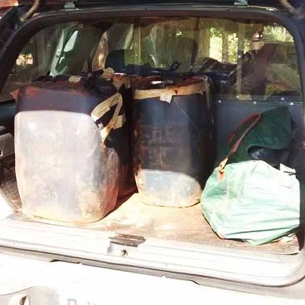 Após prisão de trio em Paraguaçu Paulista, polícia localiza 300 quilos de maconha em Castilho