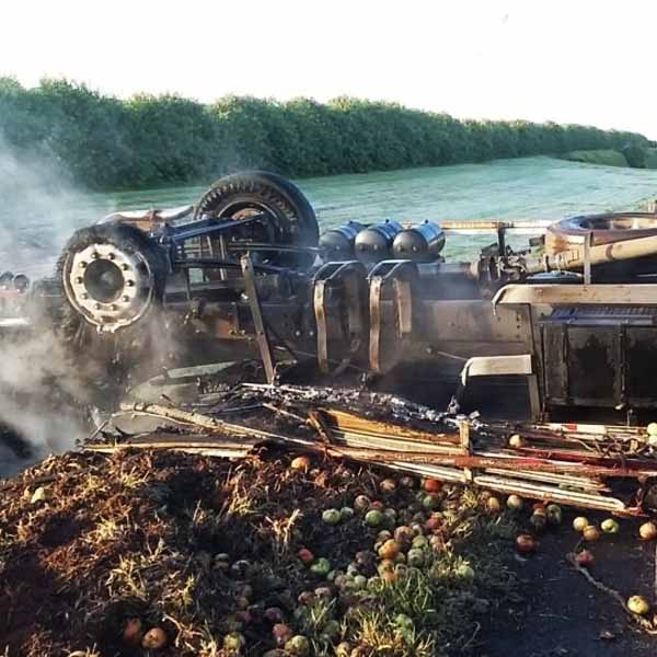 Caminhão carregado com tomates capota em rodovia