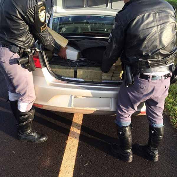 Batedores sinalizam, mas polícia apreende mais de 300 kg de maconha