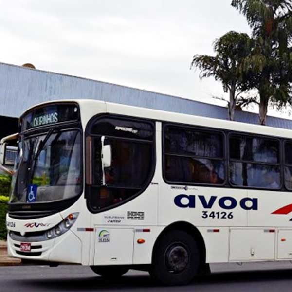 AVOA apoia e alunos de Conceição e do “Dona Lina” participarão do revezamento da Tocha em Paraguaçu