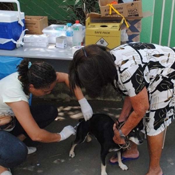 Prossegue em Paraguaçu a vacinação contra a raiva animal