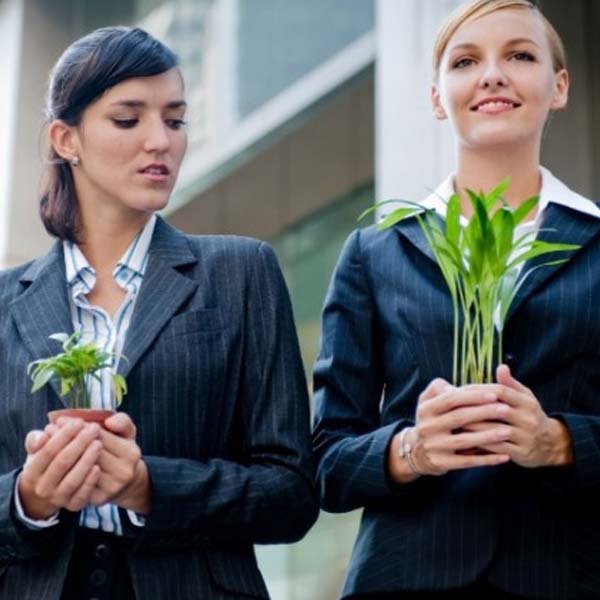 Aprenda a transformar a inveja em motivação