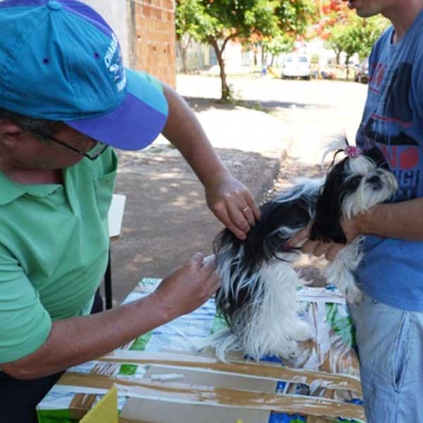 Saúde Municipal inicia campanha antirrábica em Paraguaçu