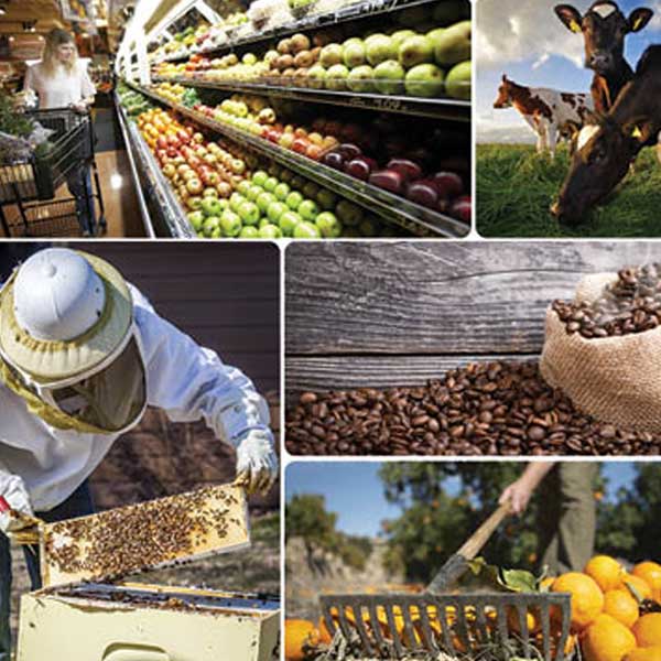 Produtores rurais podem se inscrever para palestra gratuita em Paraguaçu Paulista