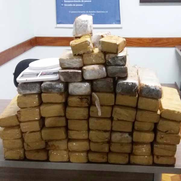 Quase 50 kg de maconha são encontrados enterrados em propriedade rural de Assis