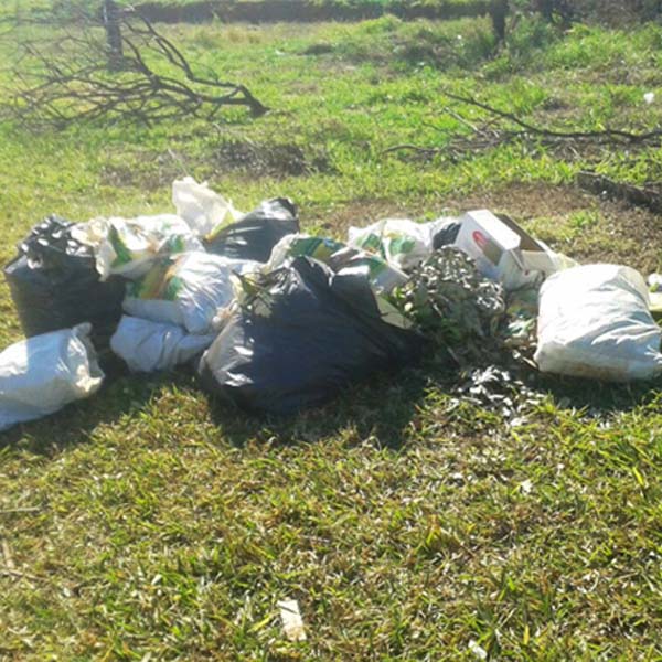 Descarte irregular de lixo prossegue causando prejuízo em Paraguaçu