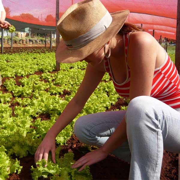 Sindicato Rural Patronal está com inscrições abertas para cursos gratuitos