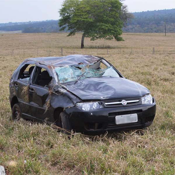 Carro capota após motorista se assustar com Seriema na vicinal Borá/Paraguaçu