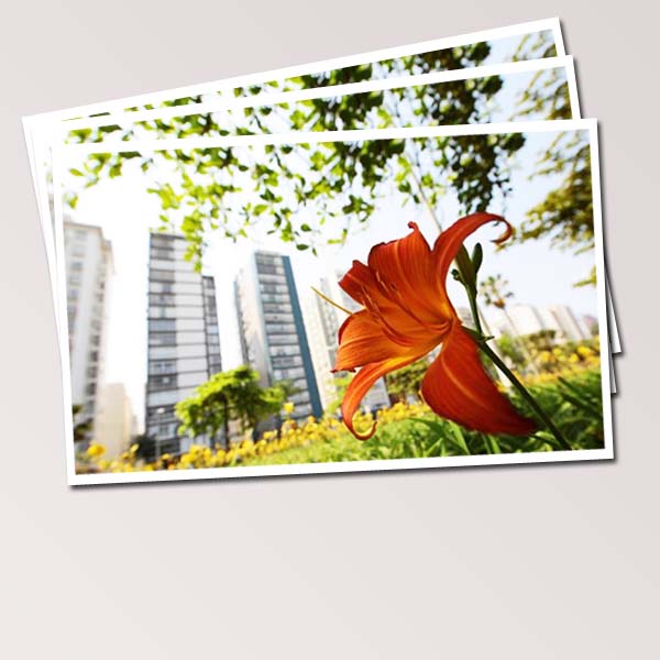 Cultura de Paraguaçu abre mostra fotográfica em homenagem a chegada da Primavera