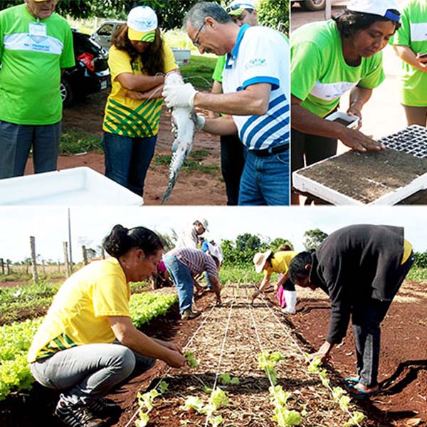 Sindicato Rural Patronal abre inscrições para cursos gratuitos