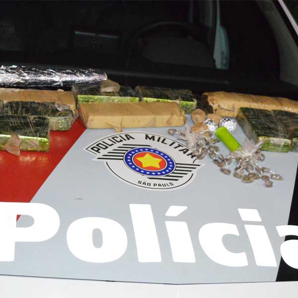 Pé de maconha e grande quantidade de drogas são apreendidos em imóvel na Barra Funda