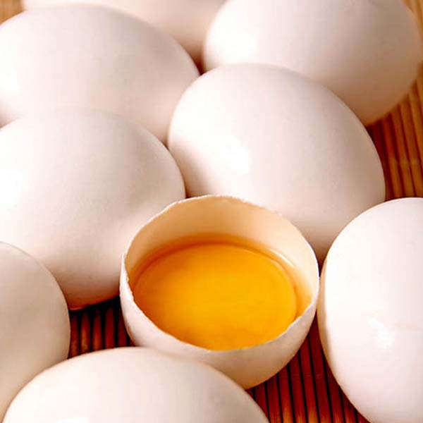Saiba como evitar a contaminação por Salmonella em ovos