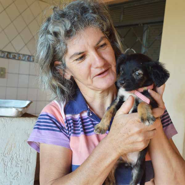 Mulher luta para manter em sua casa cães recolhidos nas ruas de Paraguaçu Paulista