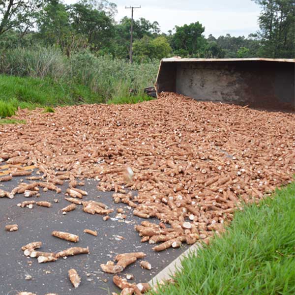 Carreta carregada de mandioca tomba e interdita pista em Paraguaçu Paulista
