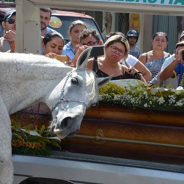 Cavalo comove família de vaqueiro morto ao 'se despedir' do dono na PB