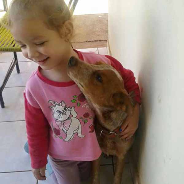 Cão de estimação de criança está desaparecido