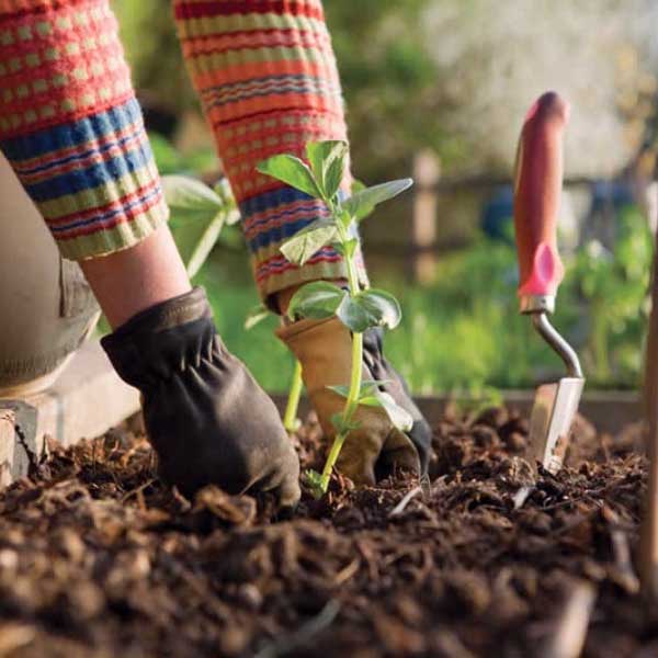 Sindicato Rural Patronal abre inscrições para curso de jardineiro