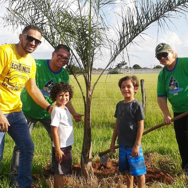Plantio de Palmeiras é realizado na Av. Hissagi Marubayashi