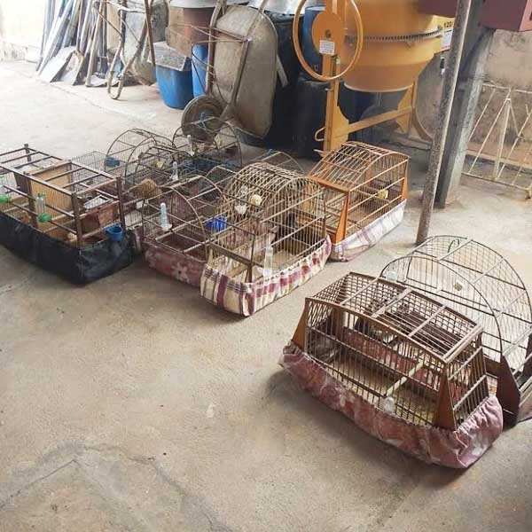 Homem recebe multa 'pesada' por crime ambiental em Quatá