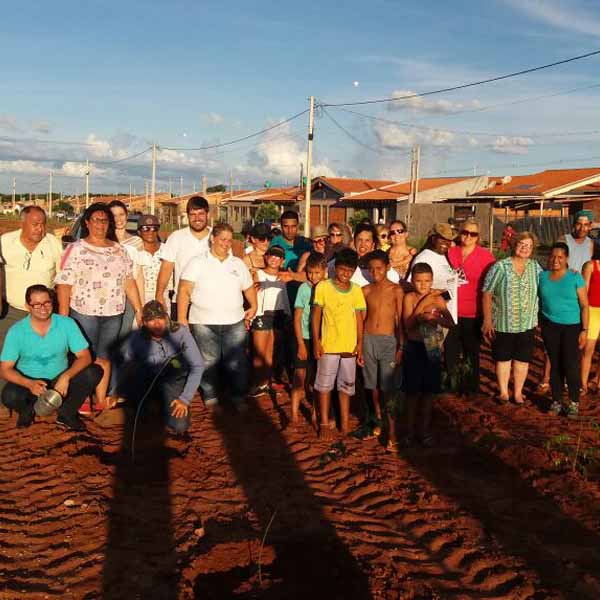 Prefeitura Municipal realiza plantio de árvores no Bairro Dona Lina Leuzzi