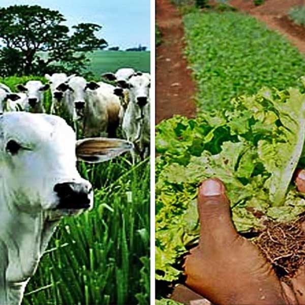 Confira os cursos que estão com vagas abertas no Sindicato Rural Patronal