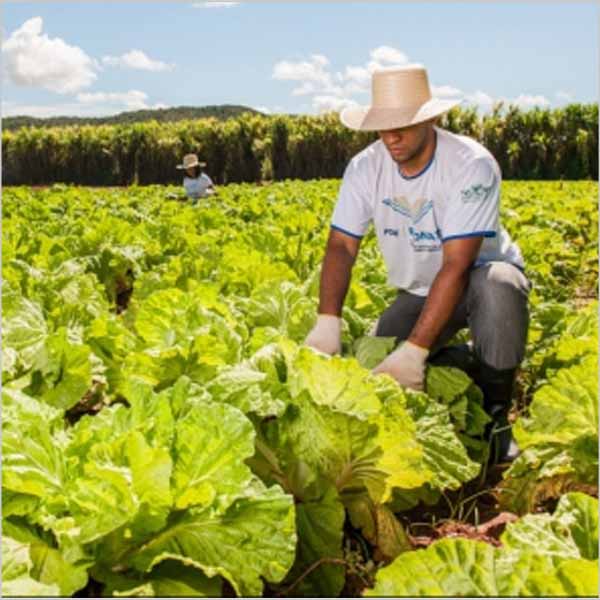 Cursos gratuitos estão com inscrições abertas no Sindicato Rural Patronal
