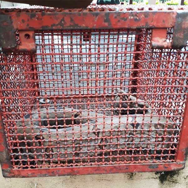Jiboia é encontrada dentro de betoneira em obra em Marília