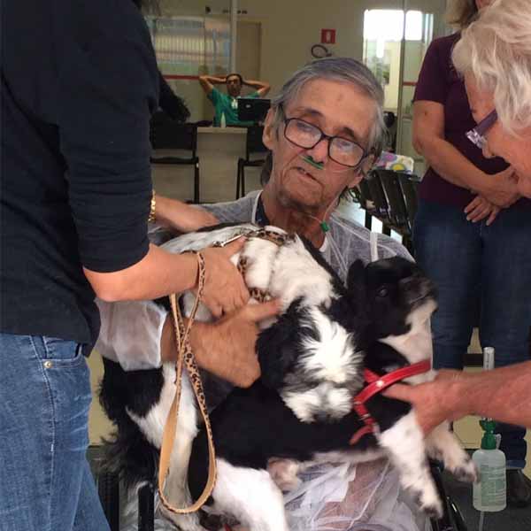 Paciente em estado crítico se despede de seus cães em hospital de Marília