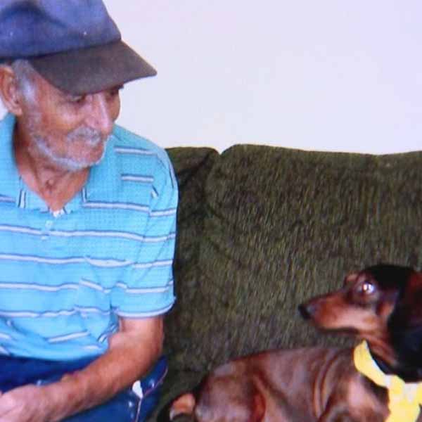 Cão morre ao defender dono de ataque de pit bull em Jaú