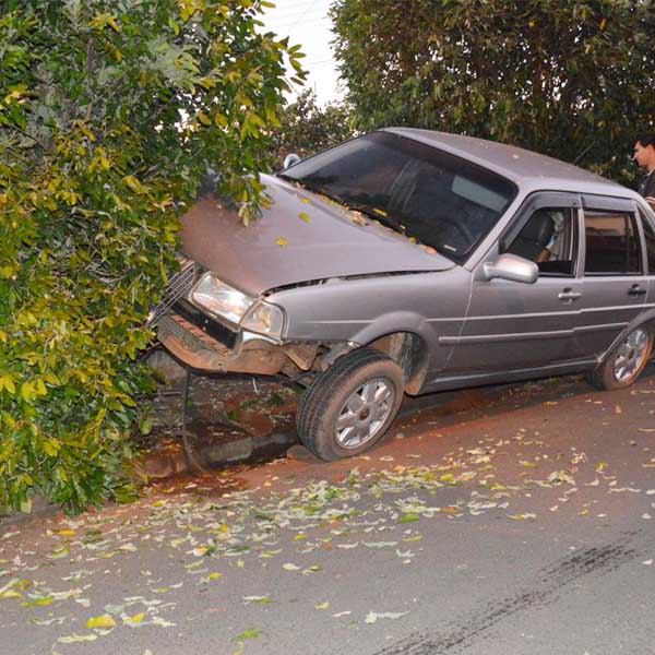 Carro derruba árvore após motorista perder o controle da direção em Paraguaçu Paulista