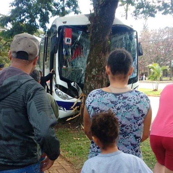Ônibus bate em árvore e deixa passageiros feridos em Chavantes