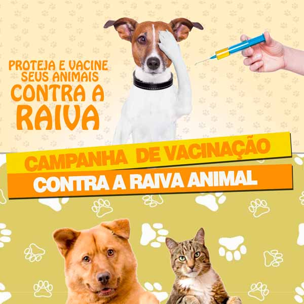 Campanha de Vacinação Antirrábica tem início neste mês em Paraguaçu Paulista