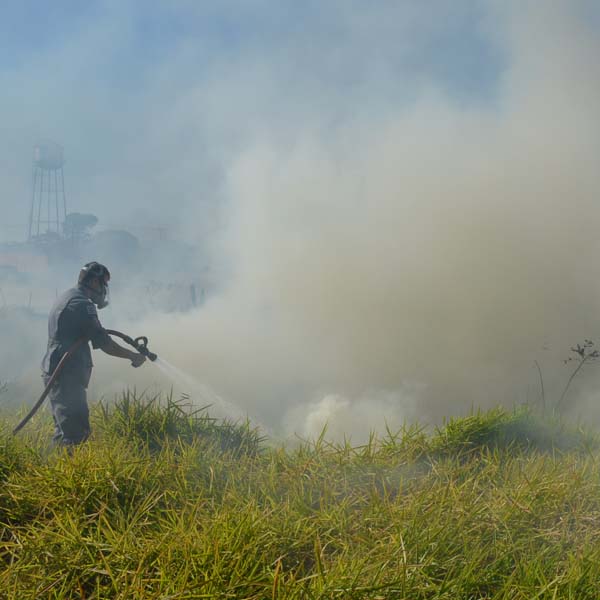 Bombeiros são acionados para combater incêndio em mata