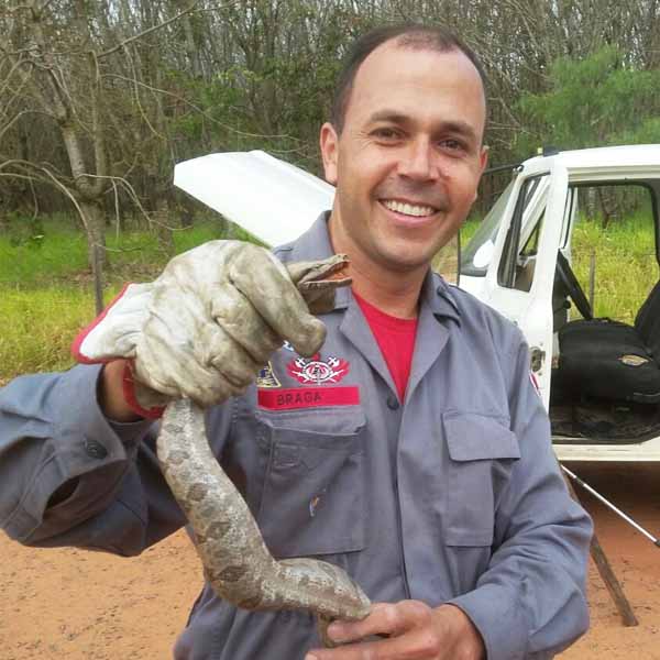 Cobra é encontrada dentro de caminhão da Prefeitura de Tupã