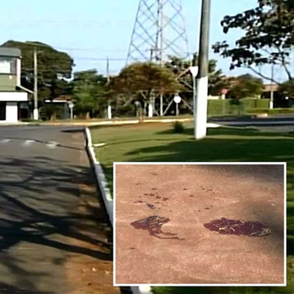 Engenheiro é assassinado em Ourinhos e polícia prende um dos suspeitos