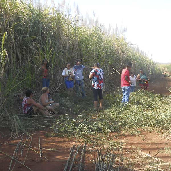 Curso profissionalizante de móveis em bambu tem início na Roseta