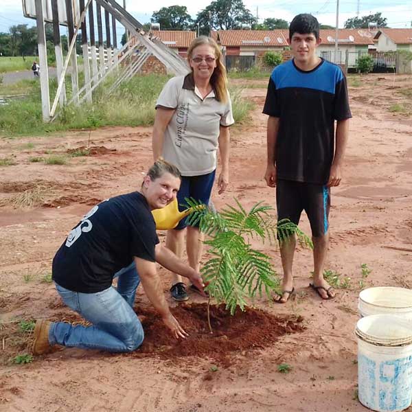 Departamento de Obras e do Meio Ambiente plantam 250 mudas de árvores no Lina Leuzzi