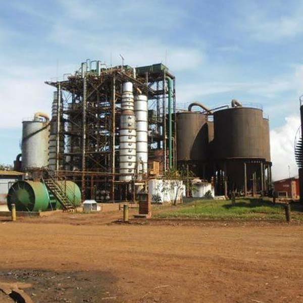 Produtores vão assumir massa falida da Usina Pau D'Alho, de Ibirarema (SP)