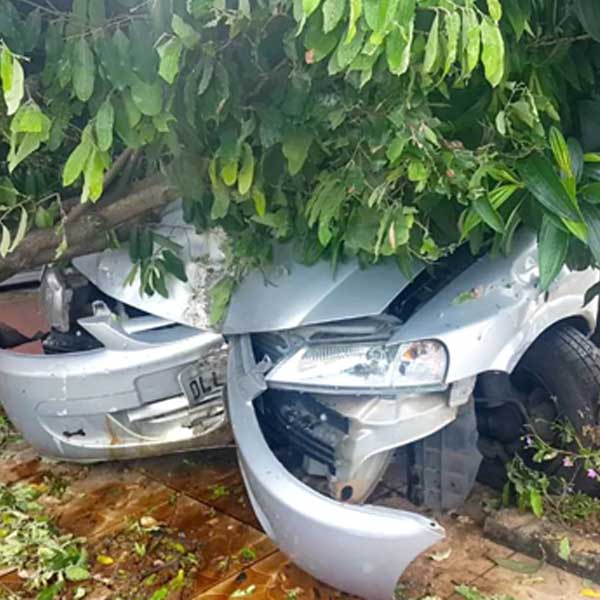 Carro descontrolado sobe em calçada e arranca árvore em Marília
