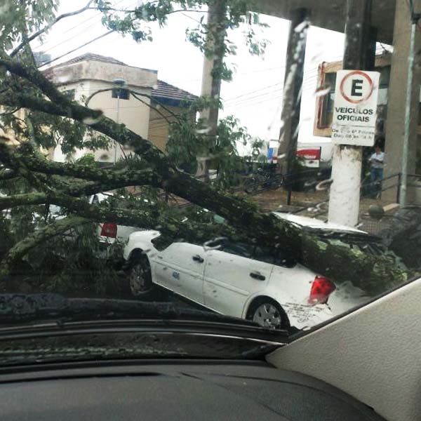 Tempestade provoca transtornos e acidentes em Marília