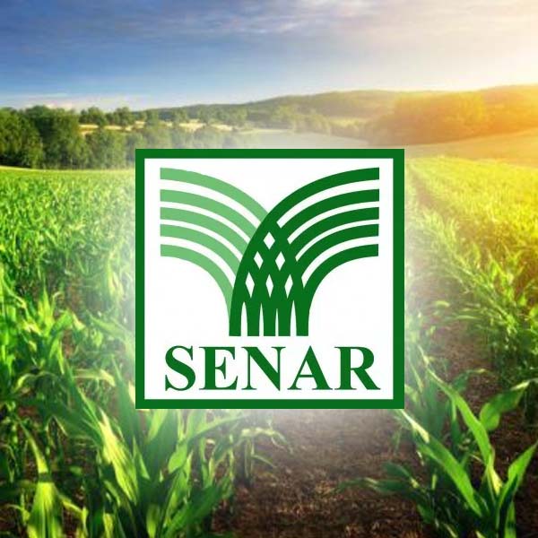 Sindicato Rural Patronal está com inscrições abertas para seis cursos gratuitos