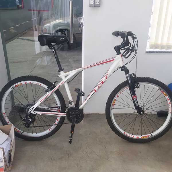 Garoto de 13 anos e outros dois jovens vão para a cadeia após roubar bicicleta em Paraguaçu Paulista