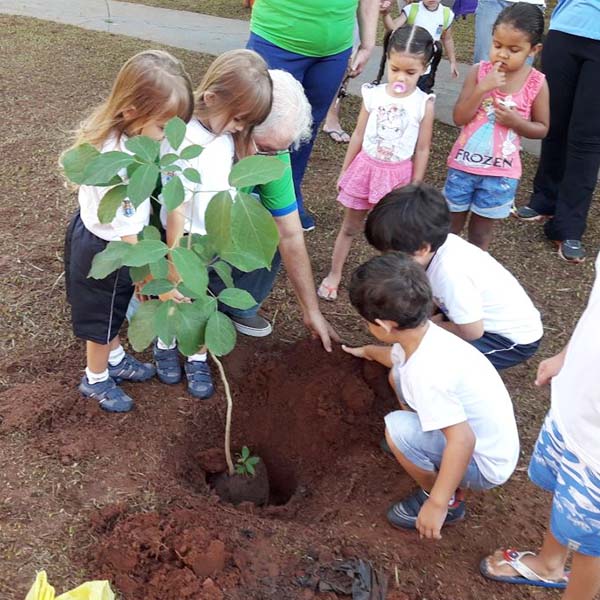 ONG Salvar realiza plantio de Ipê Branco em comemoração ao Dia Mundial da Água