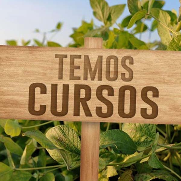 Sindicato Rural Patronal abre inscrições para novos cursos gratuitos