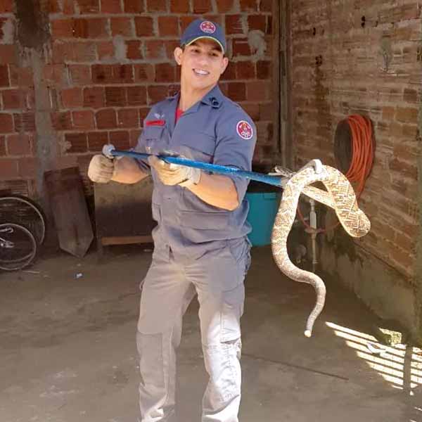 Corpo de Bombeiros registra 95 resgates de cobras neste ano em Marília
