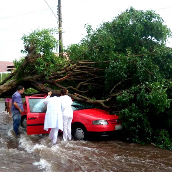 Chuva forte derruba árvore em carro e motorista fica ferido em Assis