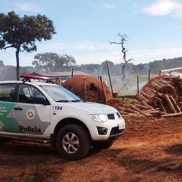 Operação da Polícia Ambiental multa dono de carvoaria ilegal em Assis