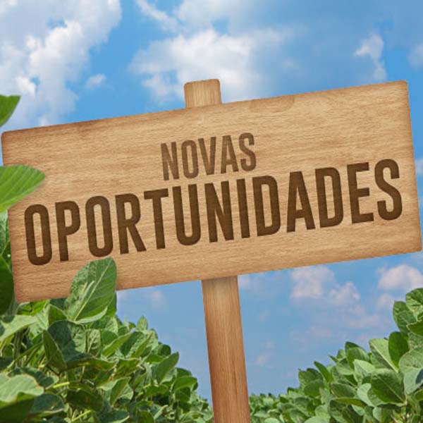 Sindicato Rural Patronal está com inscrições abertas para vários cursos gratuitos